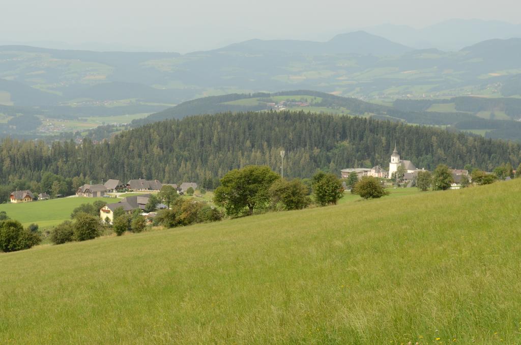 Huberhof Im Almenland Apartment Санкт Катрайн ам Офенег Екстериор снимка